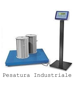 pesatura_industriale_1408960888